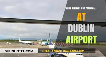 Exploring Dublin Airport: Airlines Operating from Terminal 1