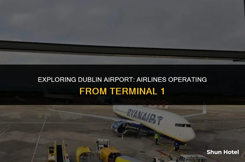 what airlines use terminal 1 at dublin airport