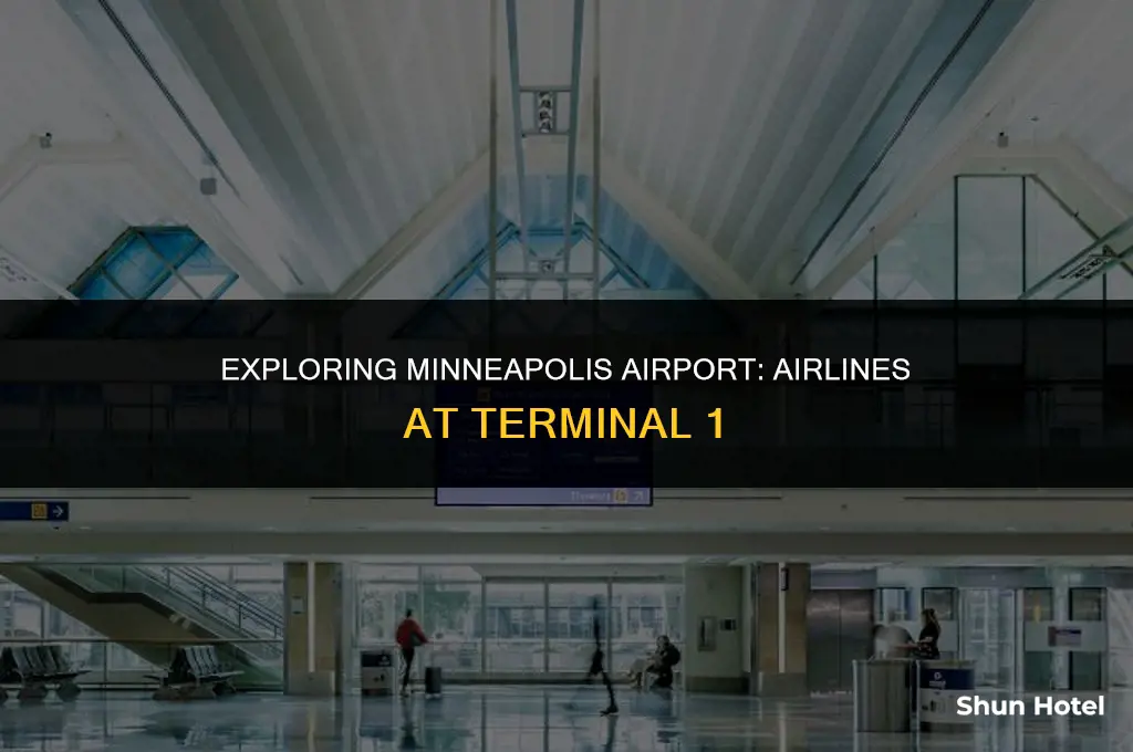 what airlines use terminal 1 at minneapolis airport