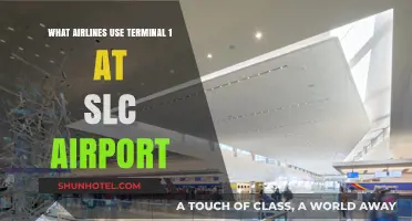 Exploring SLC Airport: Airlines Operating from Terminal 1