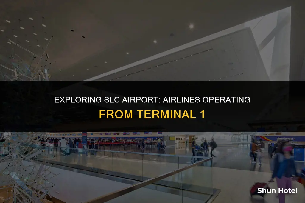 what airlines use terminal 1 at slc airport