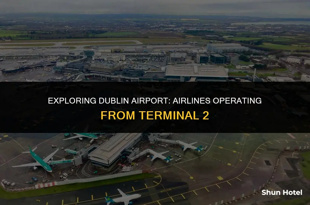 what airlines use terminal 2 at dublin airport