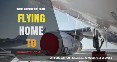 Discovering the Airport Where Eagles Soar Home: A Journey