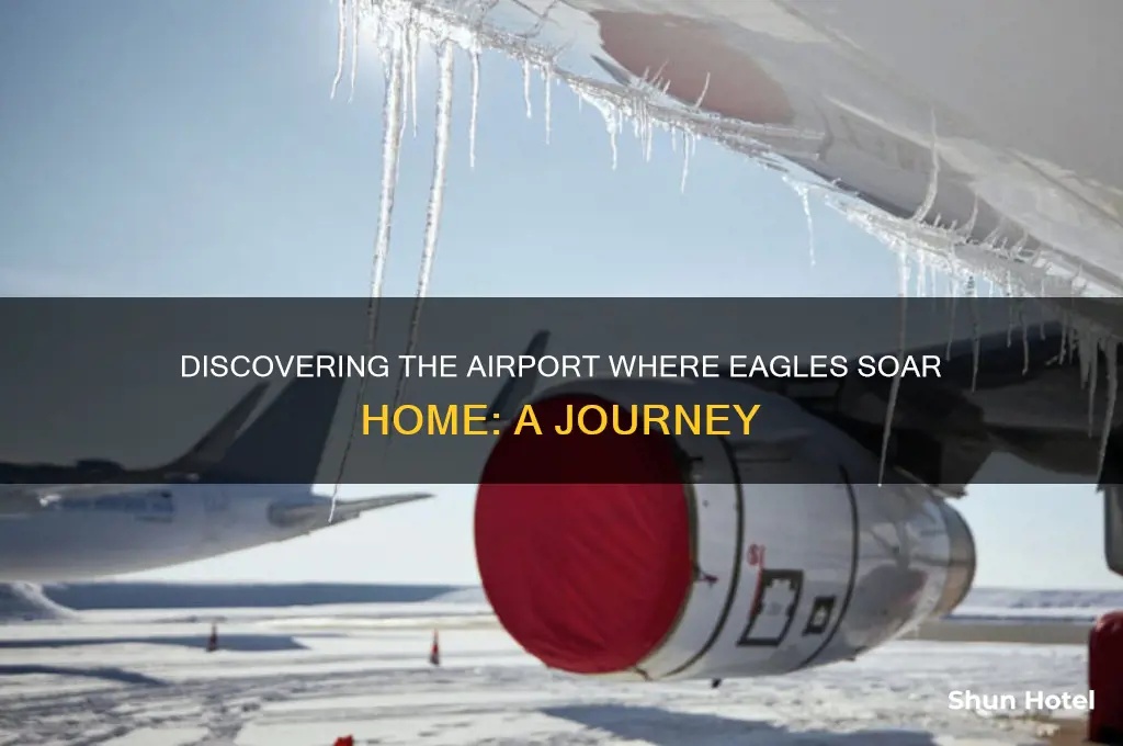 what airport are eagle flying home to