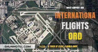 International Flights at O'Hare: Navigating Chicago's Global Gateway