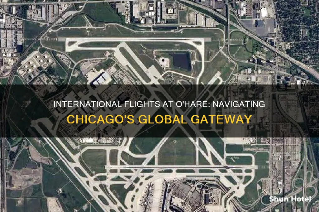 what airport are international flights ord