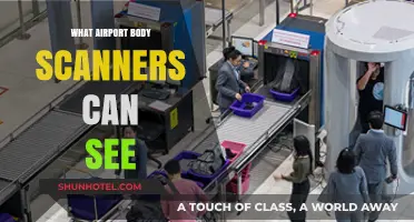 Airport Body Scanners: How Much Can They See?