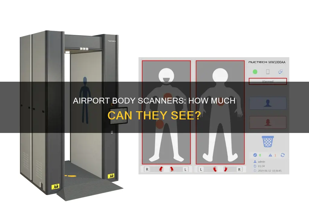 what airport body scanners can see