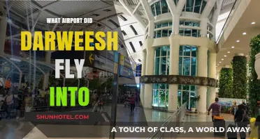 Darweesh's Arrival: Unveiling the Airport Destination of His Journey