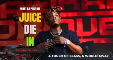 Tragic End for Juice Wrld: Death at LAX Airport