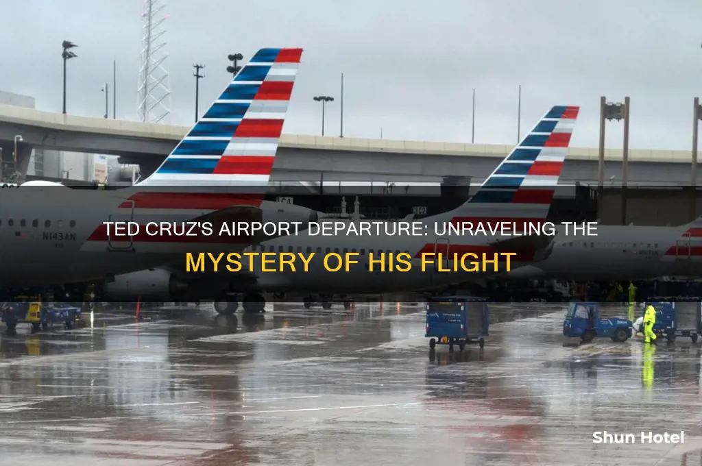 what airport did ted cruz fly out of