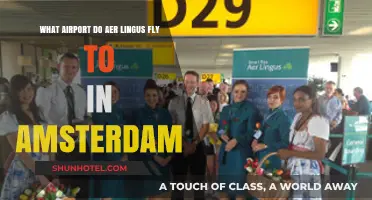 Aer Lingus Amsterdam Airport Guide: Which Hub Do They Use?