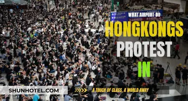 Hong Kong's Protests: Airport Occupations and Demonstrations