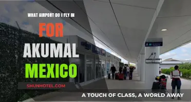 Best Airport Options for Flying into Akumal, Mexico: A Travel Guide