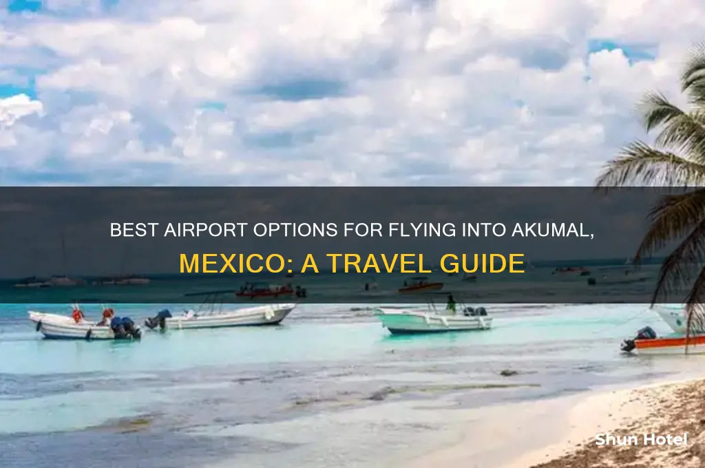 what airport do i fly in for akumal mexico