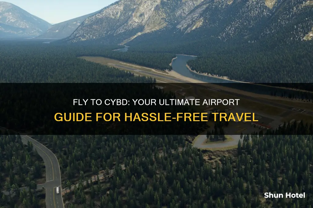 what airport do i fly in to for cybd