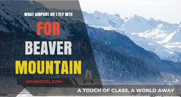 Fly to Beaver Mountain: Your Ultimate Airport Guide