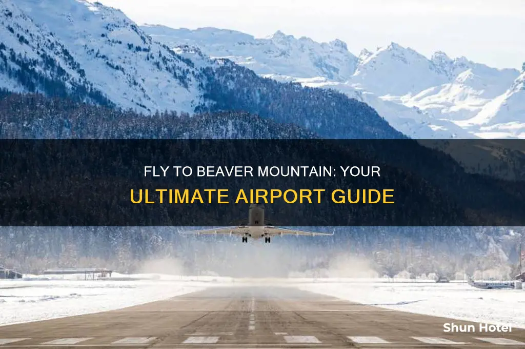what airport do i fly into for beaver mountain