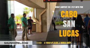 Best Airport for Cabo San Lucas: Your Ultimate Travel Guide