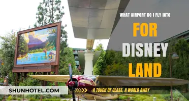 Best Airports for Disneyland: Your Ultimate Travel Guide to Magic