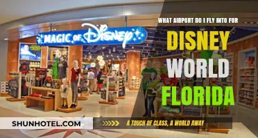 Fly to Disney World: Orlando Airport Guide for Visitors