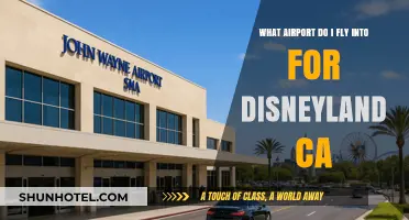 Best Airport for Disneyland California: Your Ultimate Travel Guide