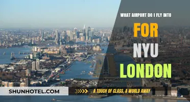 Which London Airport to Fly Into for NYU London Campus