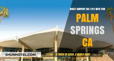 Best Airport Options for Flying into Palm Springs, California