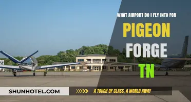 Best Airport Options for Traveling to Pigeon Forge, TN