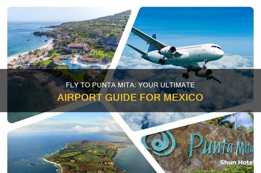 what airport do i fly into for punta mita mexico
