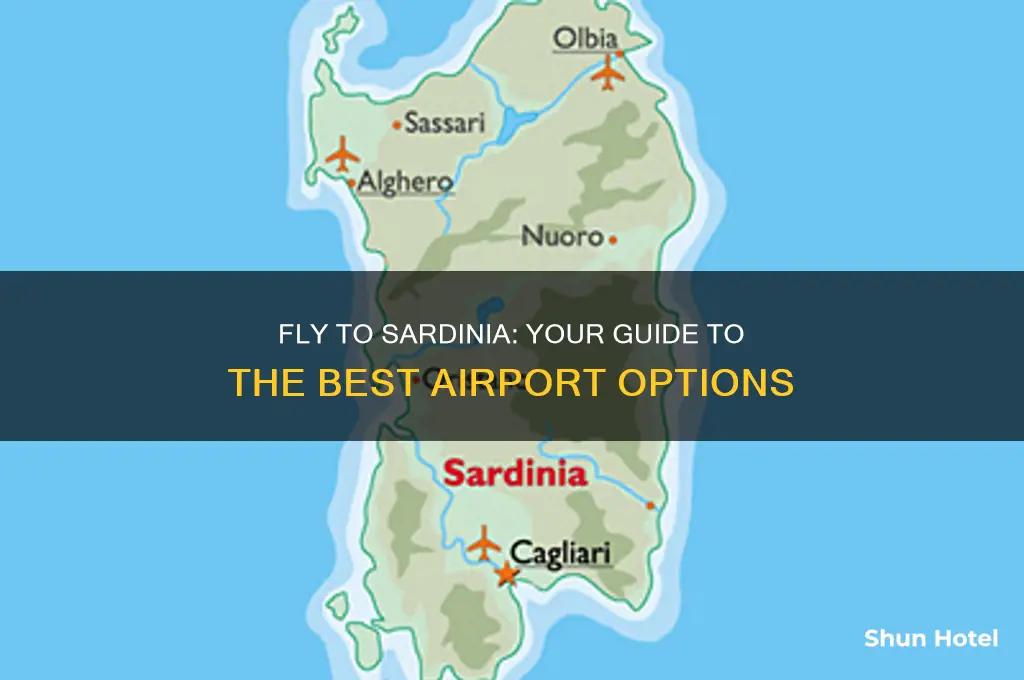 what airport do i fly into for sardinia