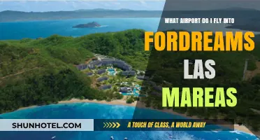 Fly to Dreams Las Mareas: Your Airport Guide