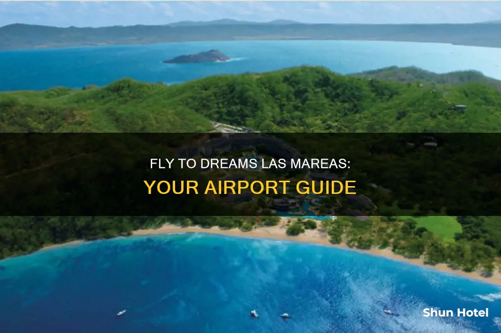 what airport do i fly into fordreams las mareas