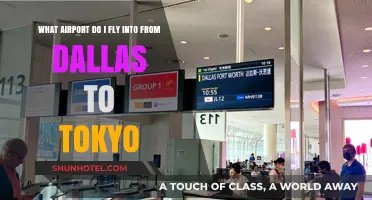 Dallas to Tokyo: Best Airport Options for Your Japan Journey