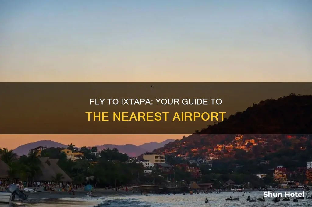 what airport do i fly into to get to ixtapa