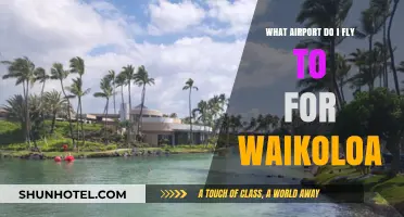 Fly to Waikoloa: Your Guide to the Nearest Airport