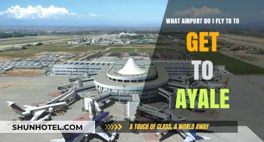 Which Airport to Fly to for Ayale: Your Travel Guide