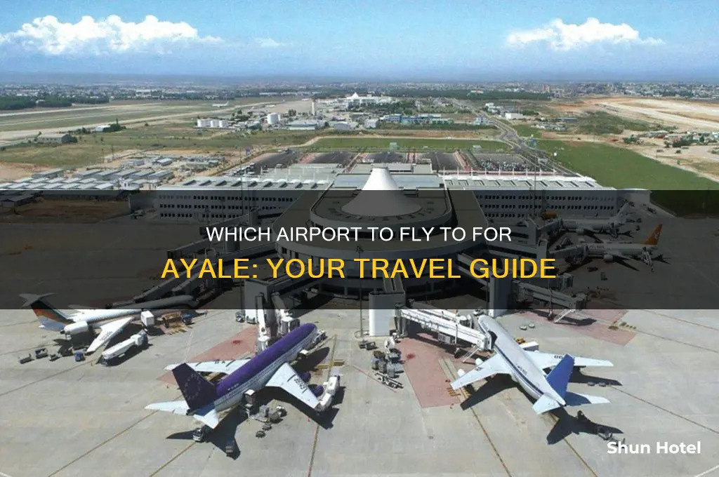 what airport do i fly to to get to ayale
