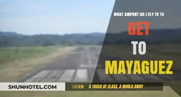 Best Airport Options for Traveling to Mayaguez, Puerto Rico