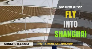 Which Shanghai Airport to Fly Into: Pudong or Hongqiao?