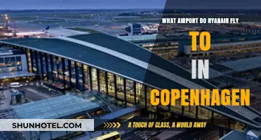 Ryanair's Copenhagen Airport Guide: Which Hub Serves Your Flight?