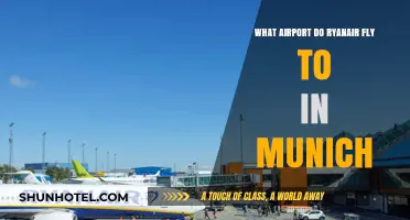Ryanair's Munich Airport Guide: Which Hub Serves Your Bavarian Adventure?