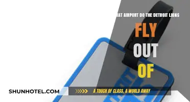 Detroit Lions' Travel Hub: Which Airport Do They Use for Flights?