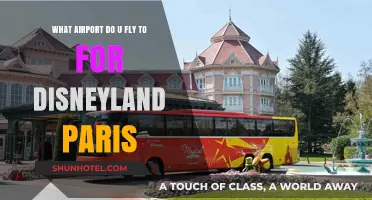 Fly to Disneyland Paris: Your Ultimate Airport Guide