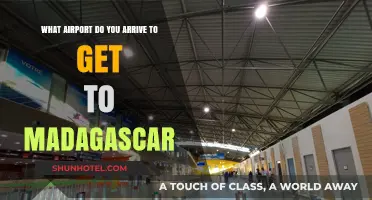Which Airport to Fly Into for Your Madagascar Adventure: A Guide