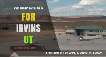 Your Guide to the Nearest Airport for Irvins, Utah: Travel Tips