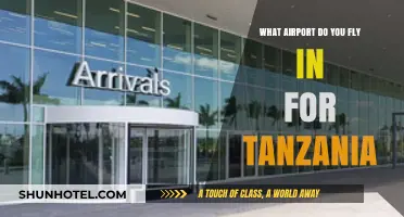 Best Airports for Tanzania Travel: Your Ultimate Arrival Guide