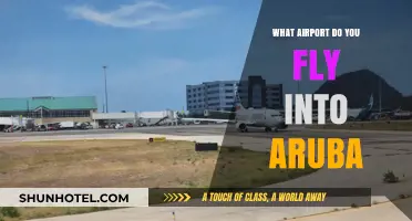 Which Airport to Fly Into for Your Aruba Vacation: A Guide