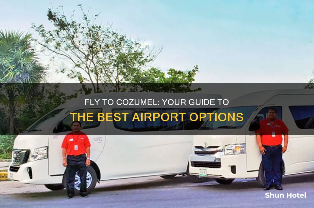 what airport do you fly into cozumel