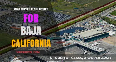 Best Airports to Fly Into for Exploring Baja California: A Guide